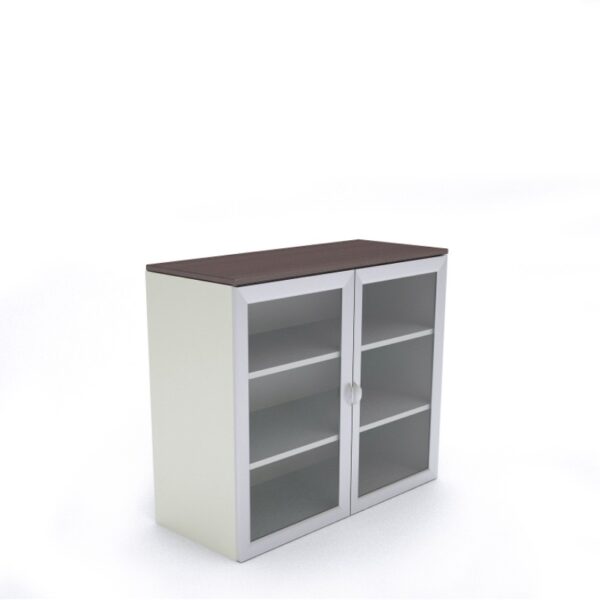 Biblioteca con puertas de vidrio