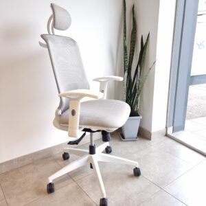 Aston – Manager blanca 2D