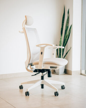 X5 – Manager blanca 2D X5 – Manager blanca 2D