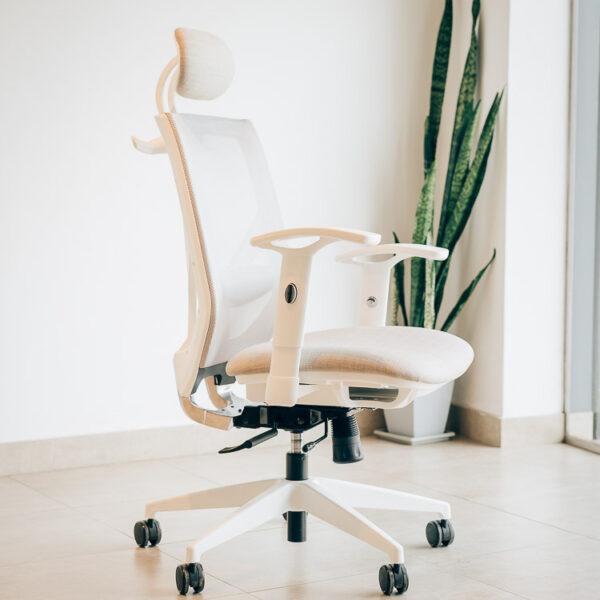 X5 – Manager blanca 2D X5 – Manager blanca 2D